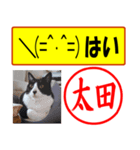 はんこだポン太田様用、顔文字と猫写真付（個別スタンプ：14）