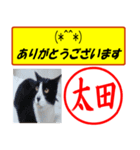 はんこだポン太田様用、顔文字と猫写真付（個別スタンプ：29）