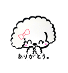 使える！ふわもこわんちゃんスタンプ（個別スタンプ：3）