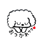 使える！ふわもこわんちゃんスタンプ（個別スタンプ：5）