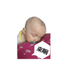 Daily Sean（個別スタンプ：11）