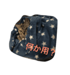 ニャー吉です（個別スタンプ：2）
