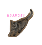 ニャー吉です（個別スタンプ：16）