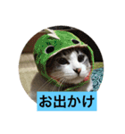 我が家の愛猫達です（個別スタンプ：27）