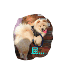 Uji's Vegging out life（個別スタンプ：10）
