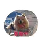 Uji's Vegging out life（個別スタンプ：14）