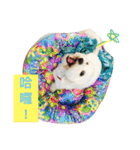Small plums dog's daily.（個別スタンプ：5）