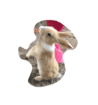 Cute Island Rabbits（個別スタンプ：4）