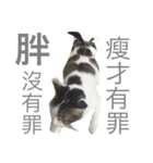 Daily life articles（個別スタンプ：13）