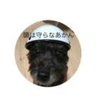 ポメプー  じゅり（個別スタンプ：2）