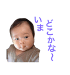 うちの子達❤4～7ヵ月..（個別スタンプ：6）