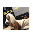 うちの子達❤4～7ヵ月..（個別スタンプ：40）