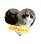 ねこねこにゃんずスタンプ（個別スタンプ：9）