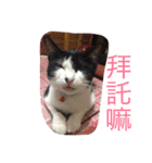 Cute sister everyday（個別スタンプ：6）