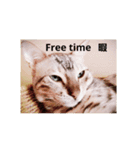 猫造（個別スタンプ：8）