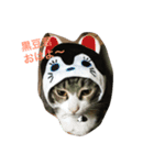 CAT black soybeans（個別スタンプ：1）
