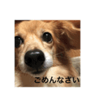 おかきとここ（個別スタンプ：14）