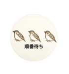 Shiromaru's eraserstamps 1（個別スタンプ：14）