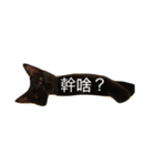 Black. Cat.2（個別スタンプ：2）