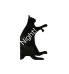 Black. Cat.2（個別スタンプ：3）