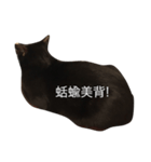 Black. Cat.2（個別スタンプ：5）