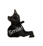 Black. Cat.2（個別スタンプ：7）