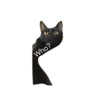 Black. Cat.2（個別スタンプ：8）
