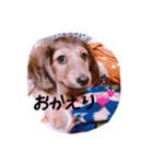 ☆ワンダフルだワン☆（個別スタンプ：14）