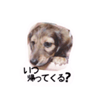 ☆ワンダフルだワン☆（個別スタンプ：33）