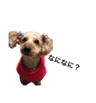 犬の気持ち生活（個別スタンプ：2）