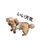 犬の気持ち生活（個別スタンプ：4）