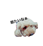 犬の気持ち生活（個別スタンプ：5）