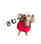 犬の気持ち生活（個別スタンプ：7）