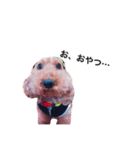 犬の気持ち生活（個別スタンプ：8）