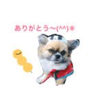 BUSAIKU ku（個別スタンプ：4）