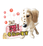 My dachshund: cake（個別スタンプ：13）
