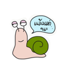 Mr.Snail V.2（個別スタンプ：3）