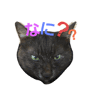 あとむスタンプ（個別スタンプ：1）