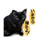 あとむスタンプ（個別スタンプ：2）