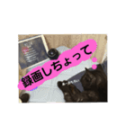 あとむスタンプ（個別スタンプ：3）