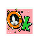 猫からのメッセージ（個別スタンプ：3）