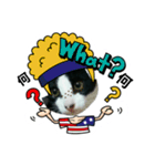 猫からのメッセージ（個別スタンプ：4）