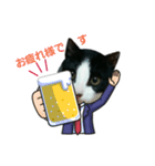 猫からのメッセージ（個別スタンプ：5）