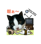 猫からのメッセージ（個別スタンプ：8）