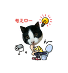 猫からのメッセージ（個別スタンプ：9）