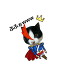 猫からのメッセージ（個別スタンプ：12）