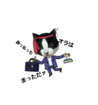 猫からのメッセージ（個別スタンプ：15）
