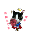 猫からのメッセージ（個別スタンプ：18）