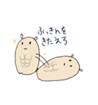 わーねこ（個別スタンプ：24）