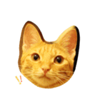 The Tigers（個別スタンプ：1）